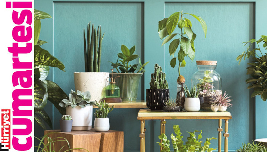 Uyuyan güzellerin bakım zamanı geldi