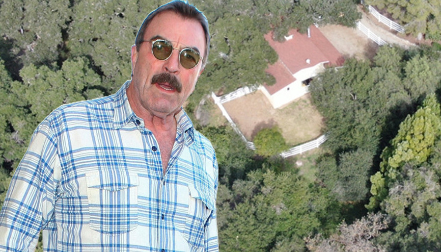 Çapkın bakışları nice canlar yakmıştı... Yıldız oyuncu emeklilik için gün sayıyor... Zaten tesadüfen ünlü olmuştum Çapkın bakışları nice canlar yakmıştı... Yıldız oyuncu emeklilik için gün sayıyor... Zaten tesadüfen ünlü olmuştum