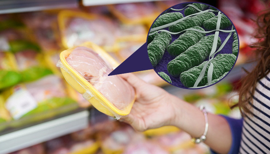 Sinsi bakteri salmonella her yıl milyonlarca insanı hasta ediyor... Bu hatayı sakın yapmayın, mikroplar her yere yayılıyor Sinsi bakteri salmonella her yıl milyonlarca insanı hasta ediyor... Bu hatayı sakın yapmayın, mikroplar her yere yayılıyor