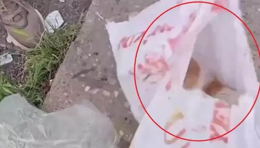 Diyarbakırda çuvala koyulup atılan kediyi çevredekiler kurtardı