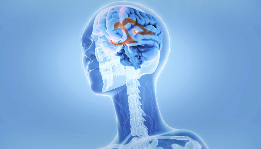 Steve Jobs ve Mark Zuckerberg de böyle yapıyordu… Bilim insanları beyin gücünü artırmanın en basit yolunu açıkladı Steve Jobs ve Mark Zuckerberg de böyle yapıyordu… Bilim insanları beyin gücünü artırmanın en basit yolunu açıkladı