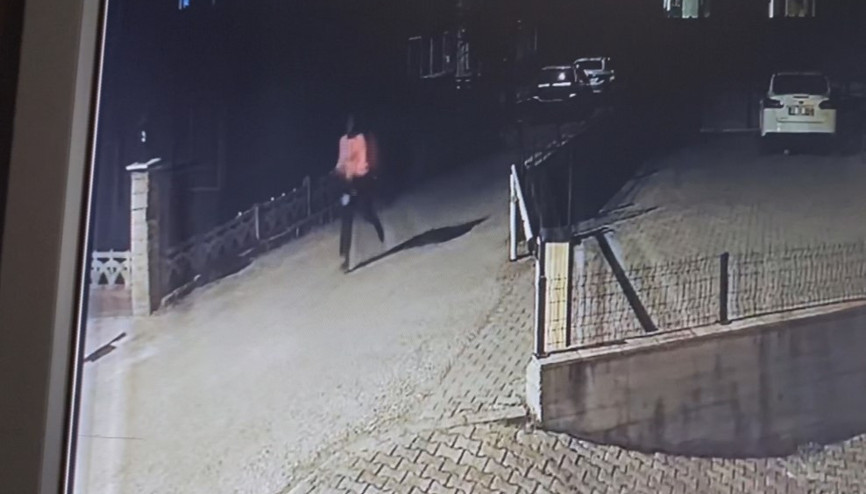 Dina’nın ölümünde büyükelçi ve avukattan Kaçışı araştırılsın talebi
