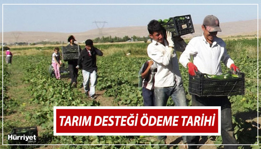 Tarımsal destek ödemeleri ne zaman yatacak, yattı mı 2024 Nisan çiftçi destek ödeme tarihi belli oldu İşte tarımsal destek ödeme sorgulama ekranı bilgisi