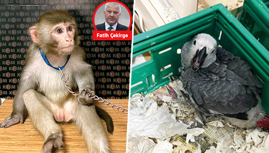 İnsanlığımdan utandım... İşte o bakış