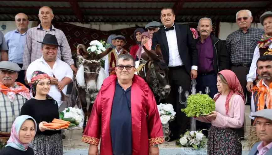 Nesli tükenmesin diyerek eşeklere sembolik nikah kıydılar