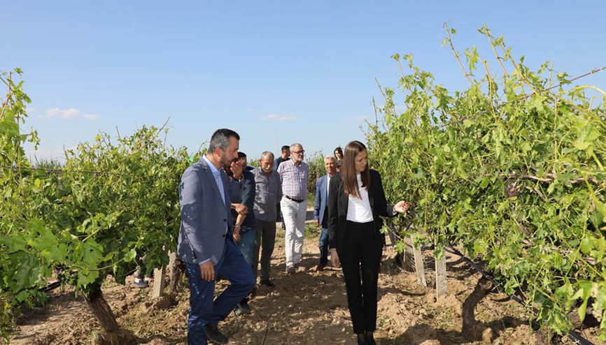 Şehzadeler Belediye Başkanı Durbaydan üreticiye ziyaret Şehzadeler Belediye Başkanı Durbaydan üreticiye ziyaret