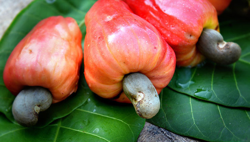Her markette var ama bu halini hiç görmemiş olabilirsiniz...  Sık tüketilen bazı ürünlerin hasattan önceki hallerine şaşıracaksınız