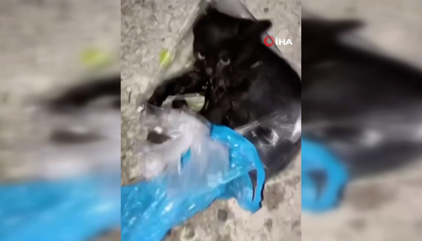 Vicdansızlığa rağmen şefkat ile hayata tutundu