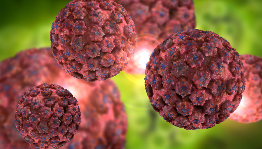 HPV nedir HPV aşısı nasıl koruma sağlar Hangi yaş gruplarında uygulanır