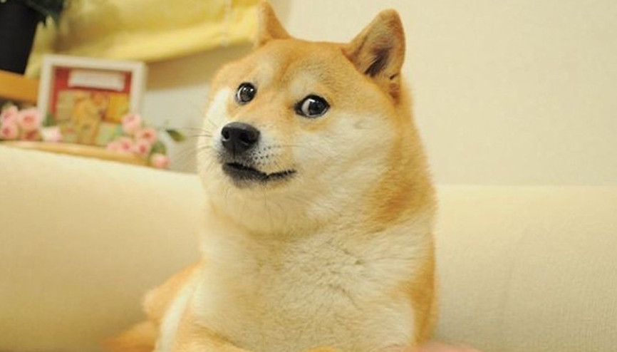 Dogecoinin simgesi hayatını kaybetti