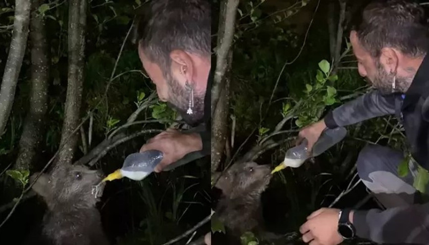 Rizede yolda gördüğü yavru ayıyı biberonla besledi