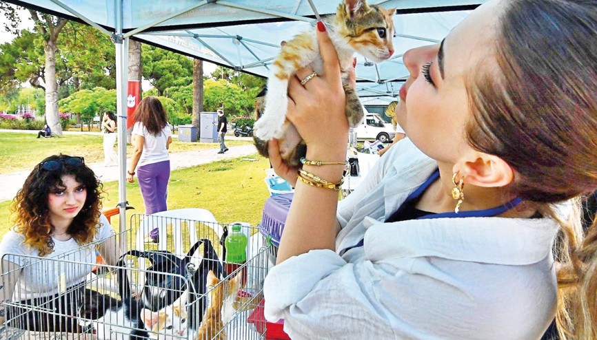 Sahiplendirme şenliği