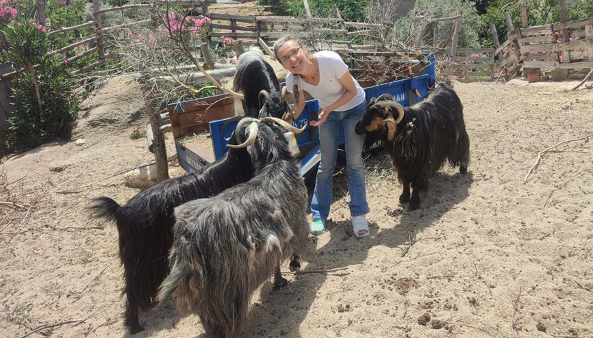 Tilkiyi öldürdüğünü ihbar eden komşuya tanıklık yapma baskısı