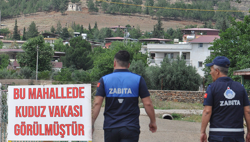 Mahallede kuduz alarmı: 6 ay karantina altında olacak