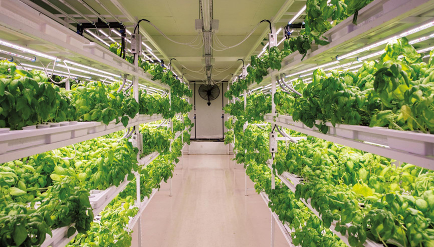 Yerin dibinde tarım