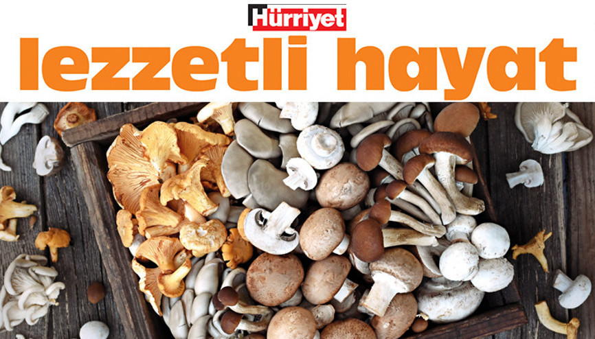 Kuzugöbeği, kestane, istiridye... Çeşit çeşit mantar çeşit çeşit tarif
