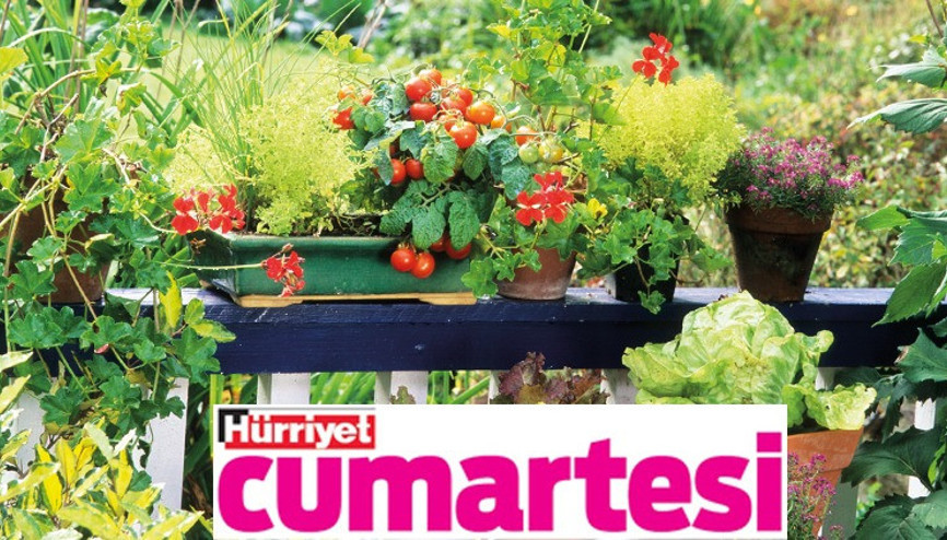 Dalından koparıp yemenin tadı bir başka