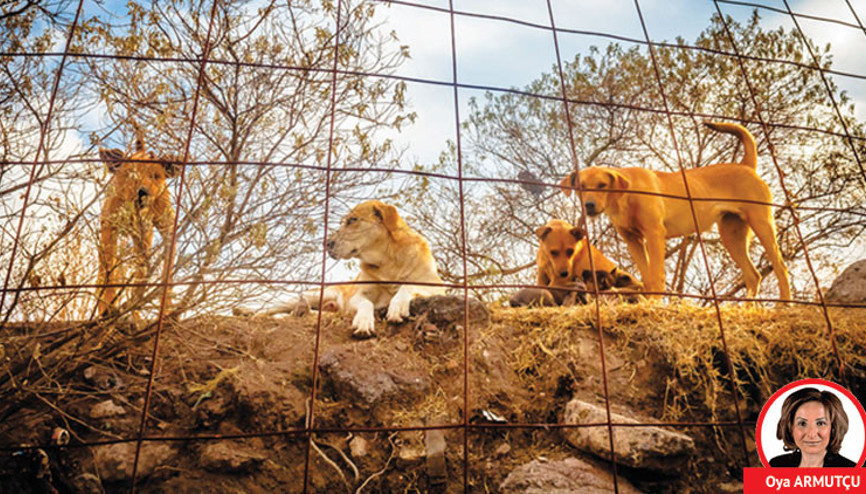 ‘Uyutmama’ formülleri