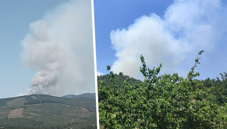 Son dakika... Bursa ve Antalyada korkutan orman yangını