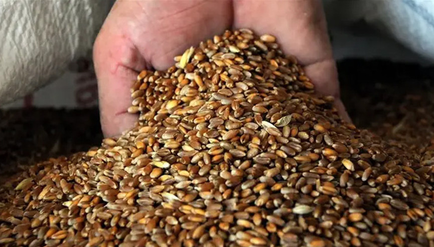 Son dakika haberi Hububat alım fiyatları açıklandı