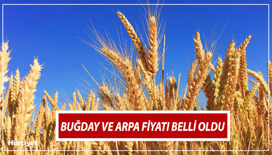 TMO BUĞDAY FİYATLARI 2024 SON DAKİKA BELLİ OLDU  | TMO buğday ve hububat alım fiyatı ne kadar oldu, kaç TL 1 Ton buğday kaç TL İşte güncel taban fiyatları