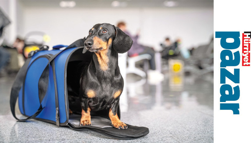 O da gelsin gittiğin yere… O da gelsin gittiğin yere…