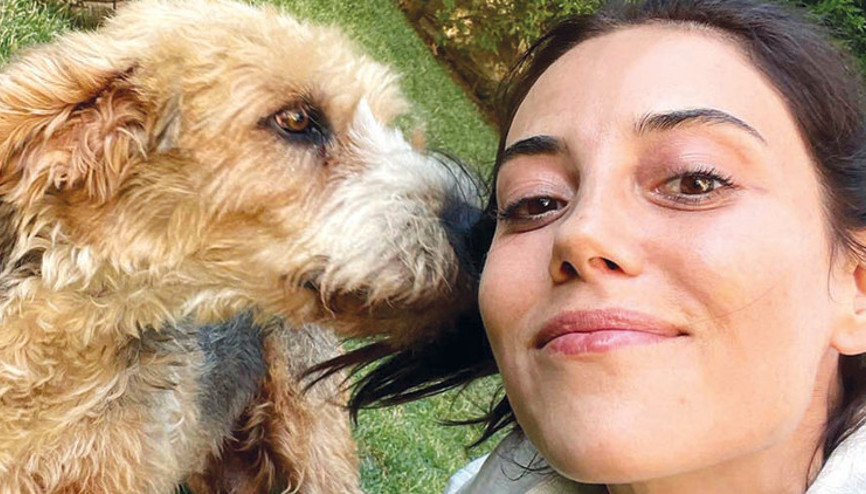 Sahiplen hayat kurtar