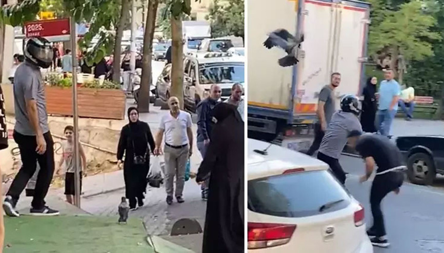 Vatandaşların kargalarla imtihanı kamerada