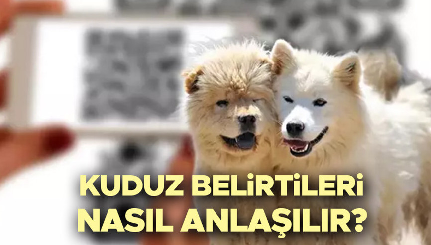 KUDUZ NEDİR, BELİRTİLERİ NELERDİR | Kuduz nasıl bulaşır, kuduz aşısı ne zaman yapılır İşte kuduz hastalığı belirtileri