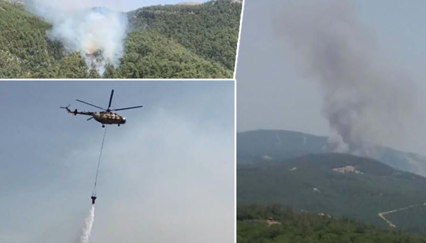 Çanakkale, Muğla ve Sinopta orman yangını Çanakkale Valiliğindan uyarı: Vatandaşlarımızın teyakkuzda olmaları önemle rica olunur