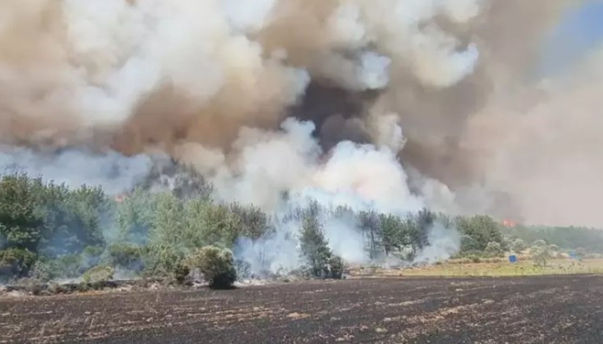 Çanakkale’nin Eceabat ilçesinde ormanlık alanda yangın