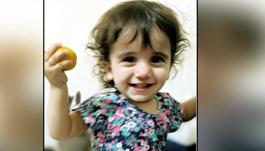 Süt kovasına düşen lemis kurtarılamadı