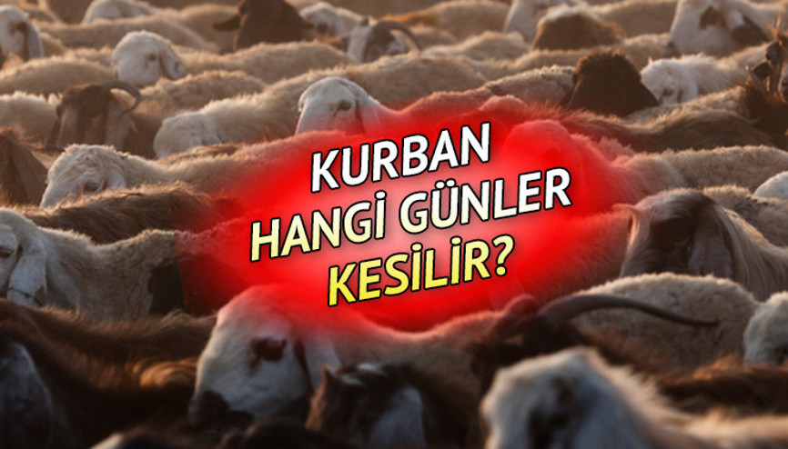 KURBAN KESİM VAKTİ 2024 (Diyanet bilgisi) || Kurban ne zaman, saat kaça kadar kesilir Bayramın 3. veya 4. günü kurban kesilir mi