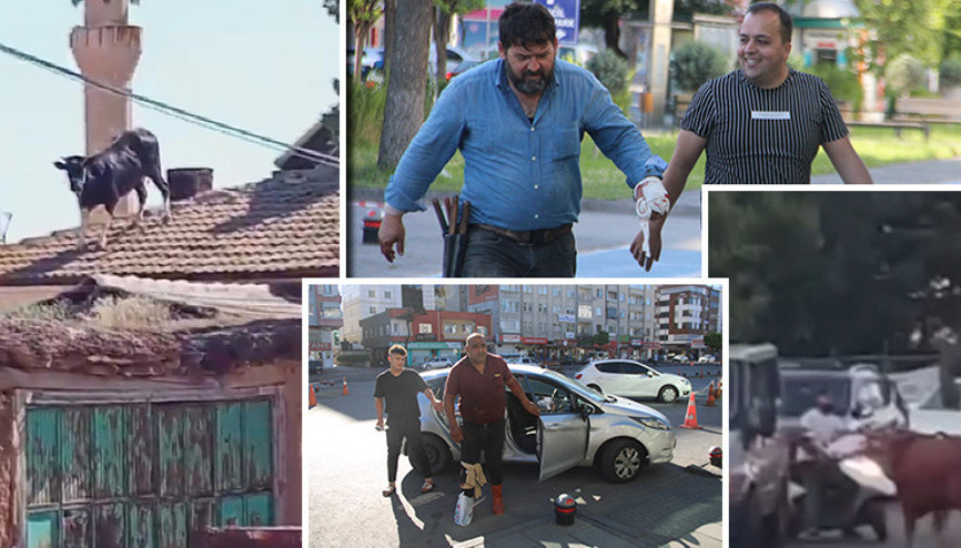 Bir Kurban Bayramı klasiği Acemi kasaplar hastaneye akın etti