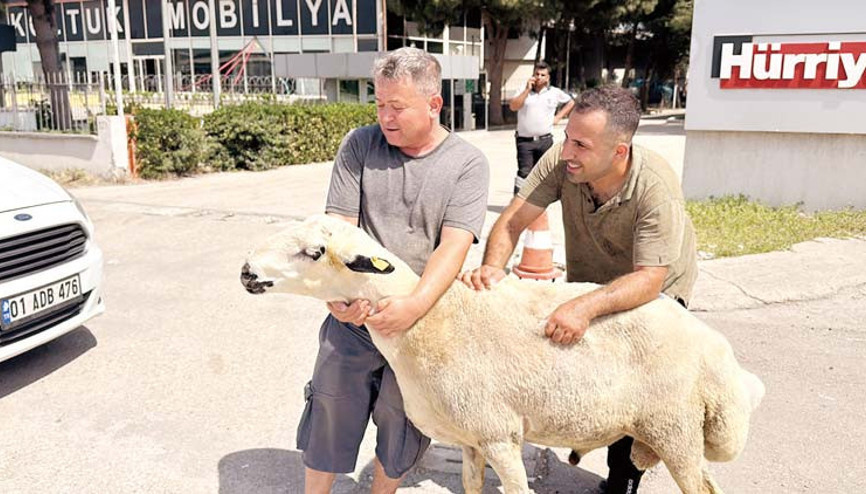 Yurttan kurban klasikleri