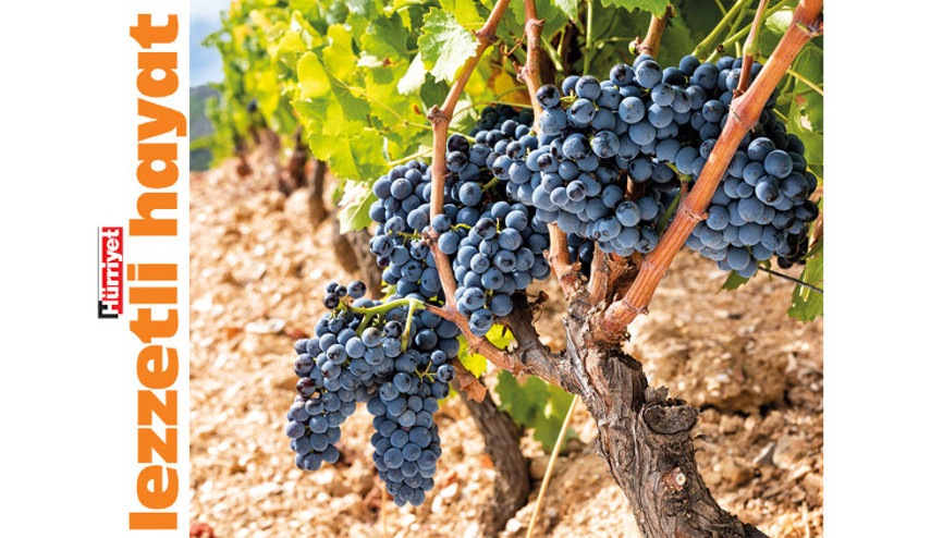 ‘Yerel üzüm  çeşitliliğimizin  hiç bilinmediğini  düşünüyorum’