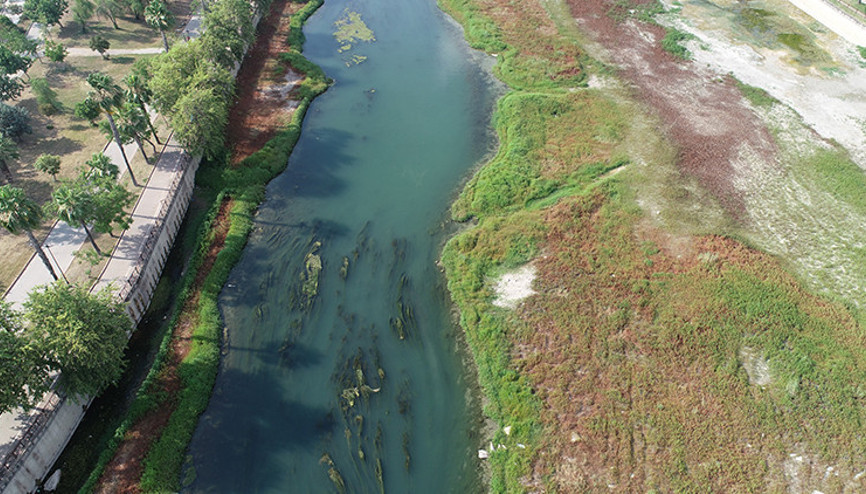 Seyhan Nehrini yosun kapladı: Kötü koku oluştu