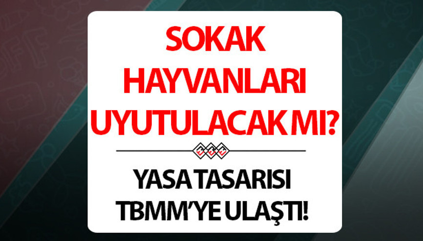 Sokak hayvanları uyutulacak mı TBMMde ele alınıyor...Başıboş sokak köpekleri toplanacak mı Sokak hayvanlarının uyutulması yasası son durum (25 Haziran) Sokak hayvanları uyutulacak mı TBMMde ele alınıyor...Başıboş sokak köpekleri toplanacak mı Sokak hayvanlarının uyutulması yasası son durum (25 Haziran)