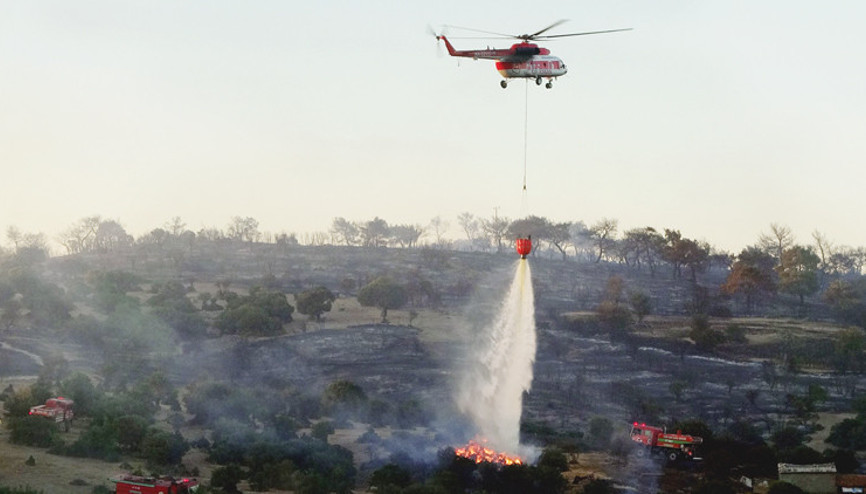 952 futbol sahası büyüklüğündeki alan kül oldu