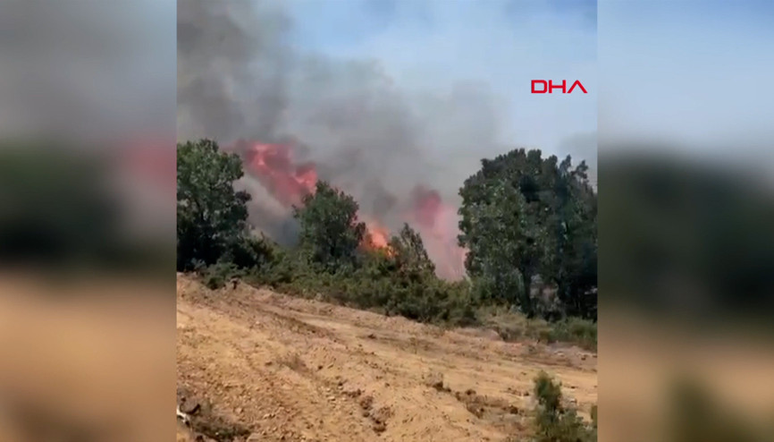 Bingöl’ün Genç ve Kiğı ilçelerinde orman yangını
