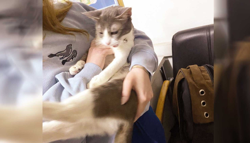 Pişkin savunma: Luna’yı kontrol altına almak istedim