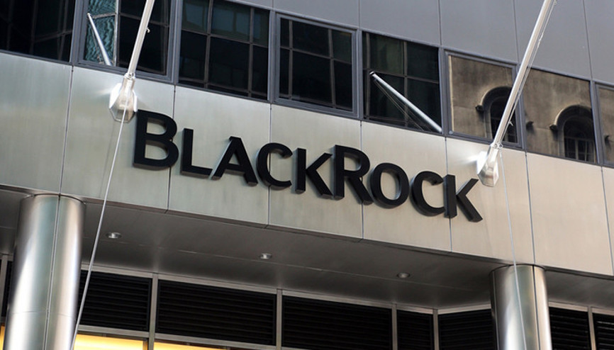BlackRocktan dev satın alma
