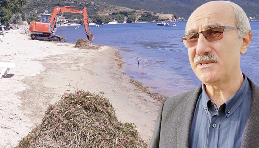 Marmara Denizi’nde deniz çayırı katliamı Marmara Denizi’nde deniz çayırı katliamı