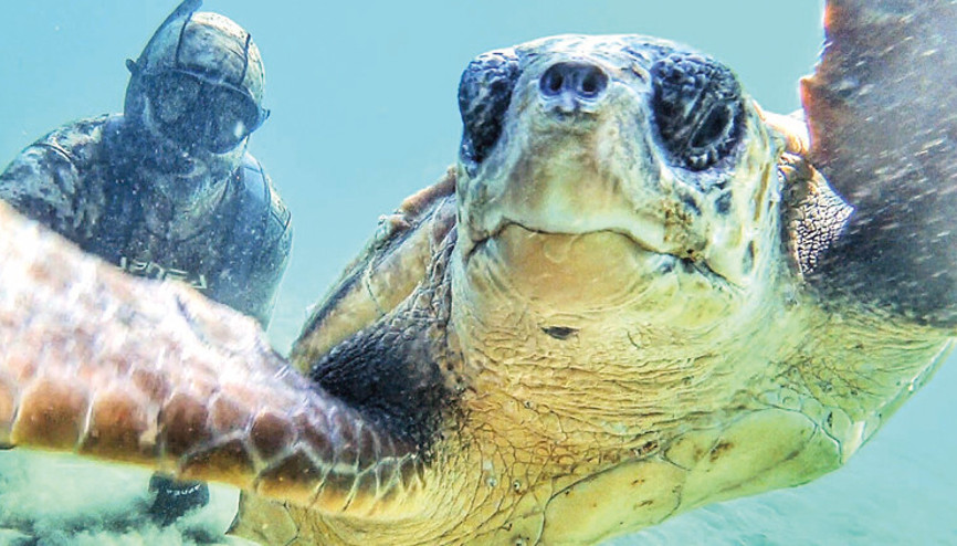 Denizin dibinde en özel selfie