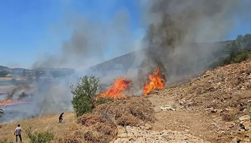 Muğlanın Menteşe ilçesinde orman yangını