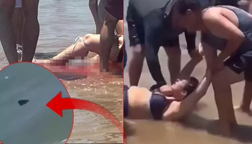 Halk plajında köpekbalığı saldırısı: 4 yaralı