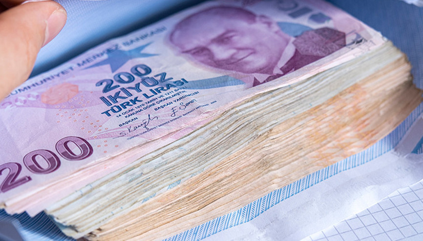 TÜİK Haziranda en çok kazandıran yatırım aracını açıkladı