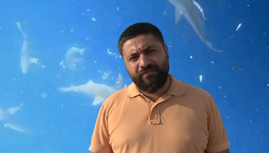 Köpek balığı sürüsüyle burun buruna geldil Karınları toktu, bizimle ilgilenmediler