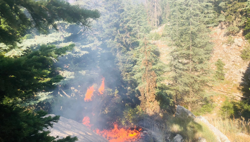 Adanada orman yangını Adanada orman yangını