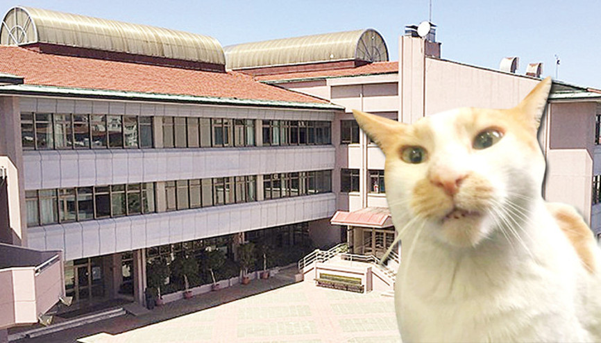 Kedi Faruk davasında öğrenci tanık olarak dinlendi: Kapıyı açık bıraksaydı dışarı çıkabilirdi